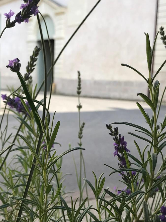 Fontevraud Maison De Ville Bnb Εξωτερικό φωτογραφία